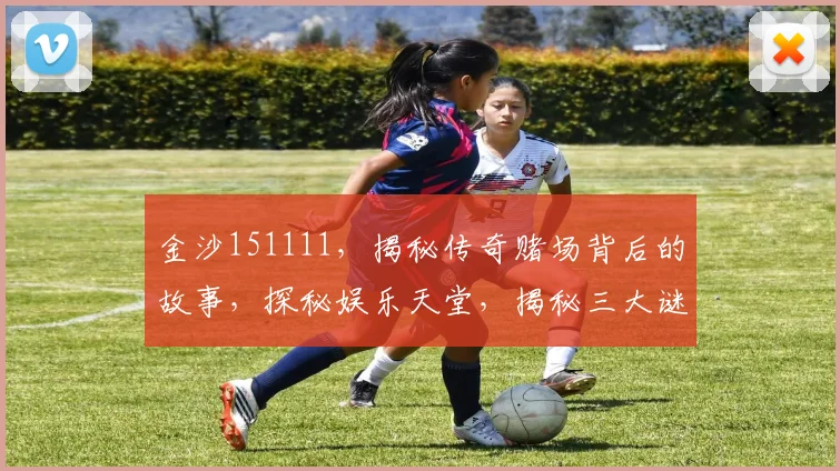 金沙151111，揭秘传奇赌场背后的故事，探秘娱乐天堂，揭秘三大谜团，不容错过