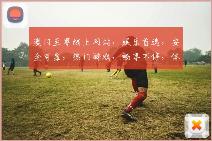 澳门至尊线上网站，娱乐首选，安全可靠，热门游戏，畅享不停，体验非凡