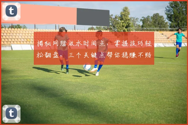 揭秘网赌放水时间点，掌握技巧轻松翻盘，三个关键点帮你稳赚不赔，不容错过